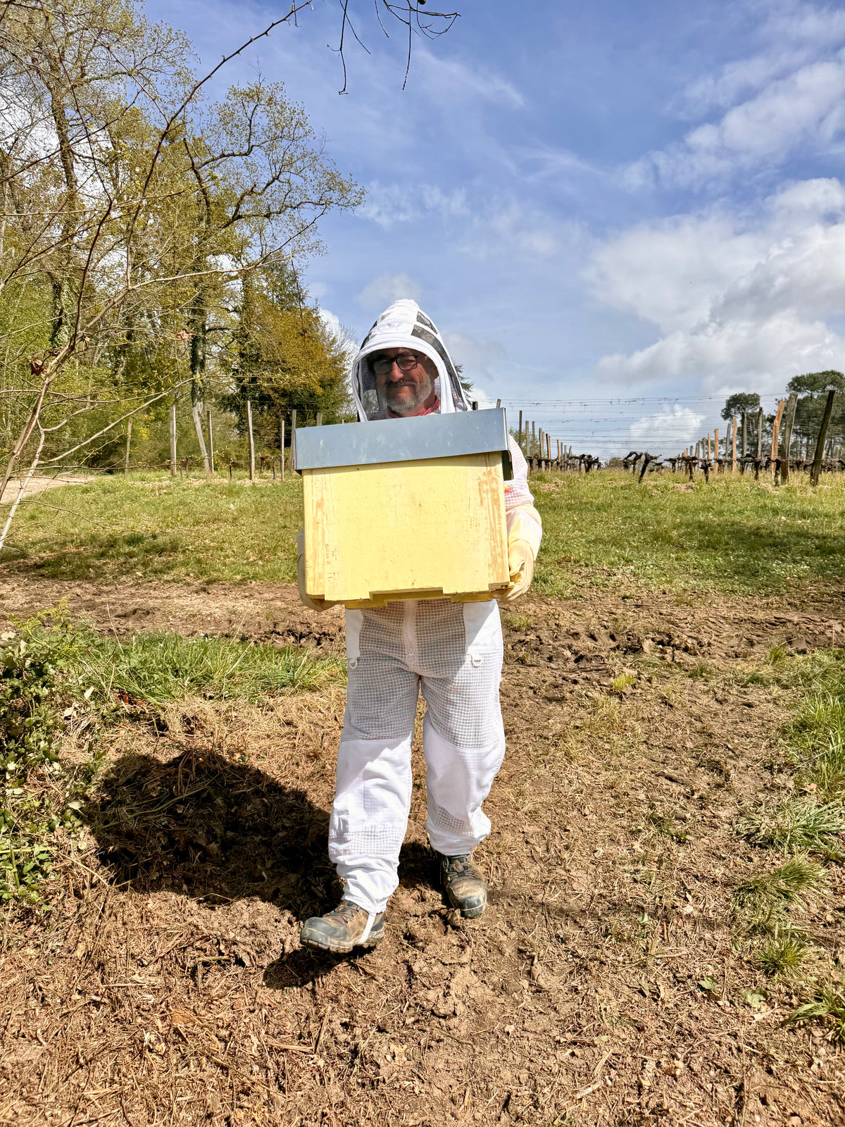 View of the vineyard or its surroundings