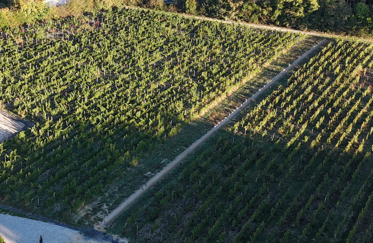 The terroir and the wine it yields
