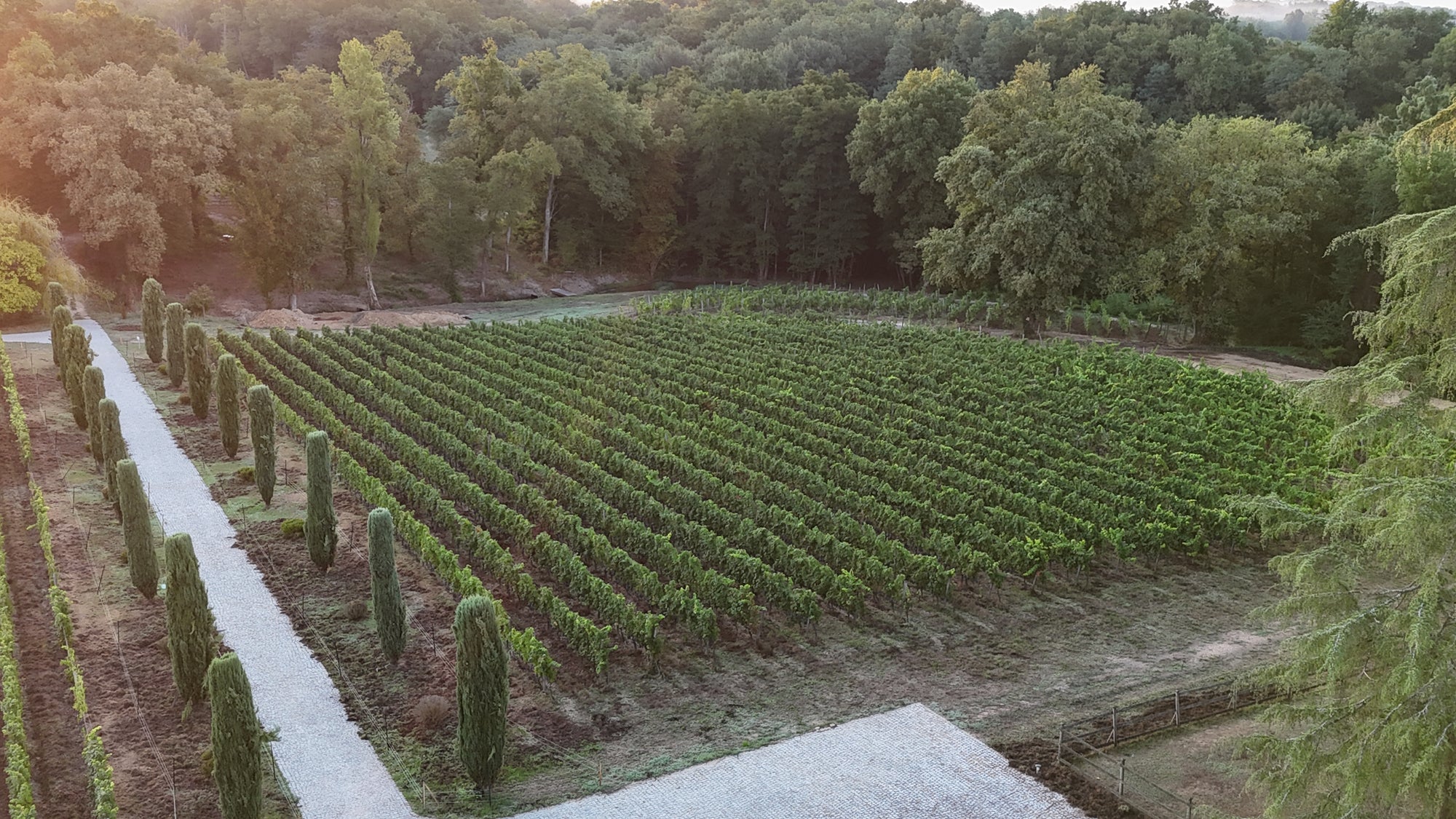 Das Terroir und der Wein daraus