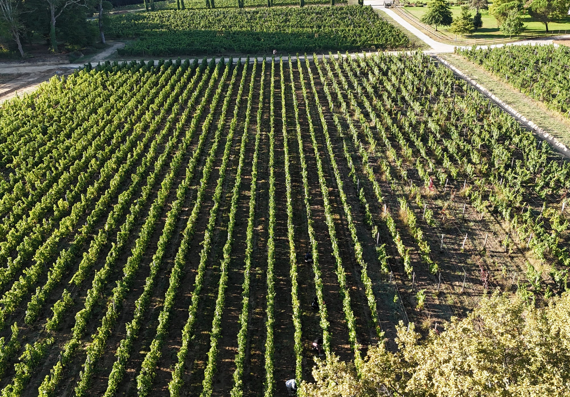 Das Terroir und der Wein daraus