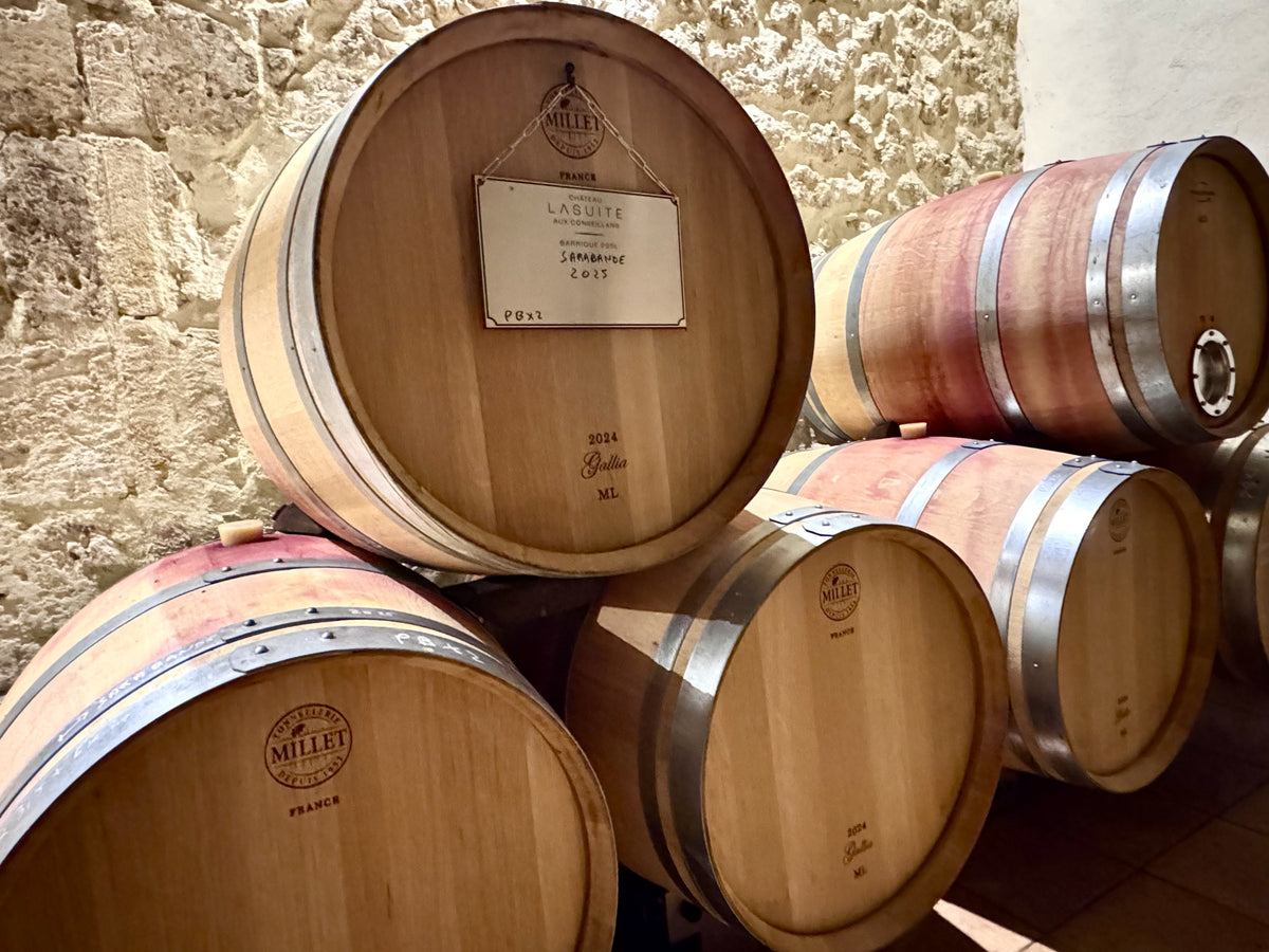 Barriques der Sarabande im Keller von LaSuite aux Conseillans