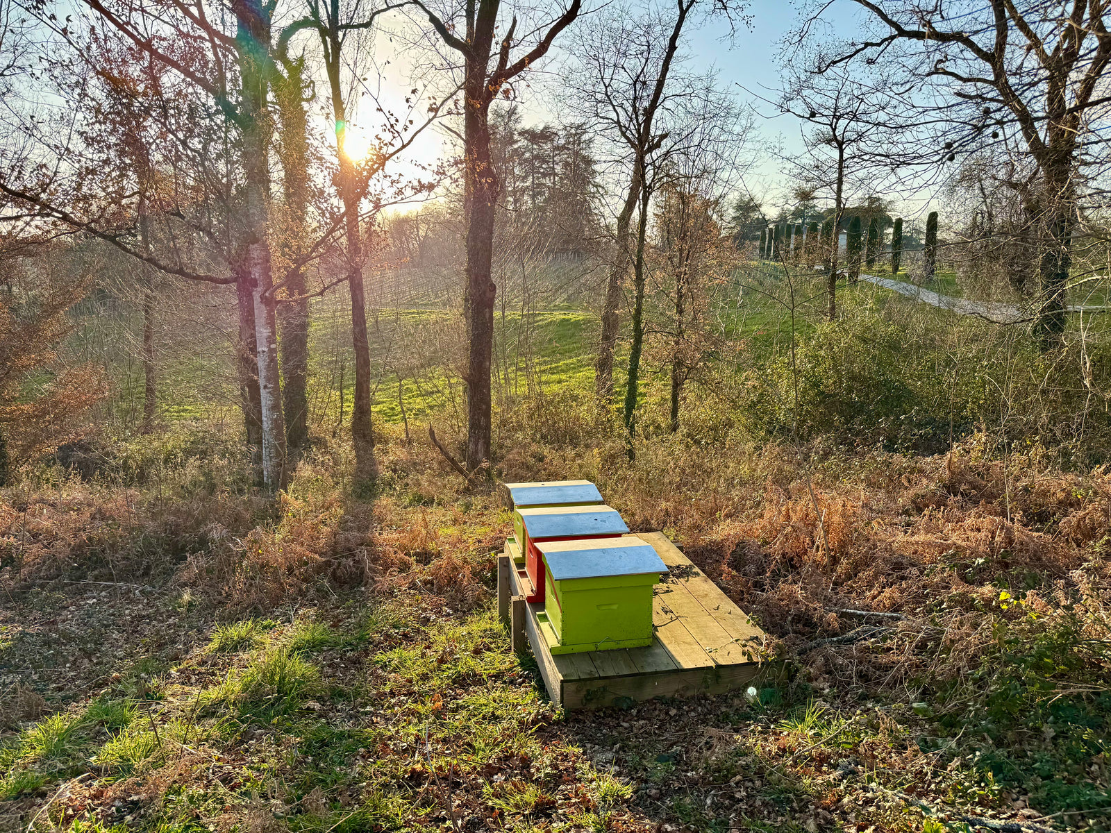 Bees gather data while they gather nectar.