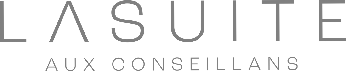 Chateau LaSuite aux Conseillans