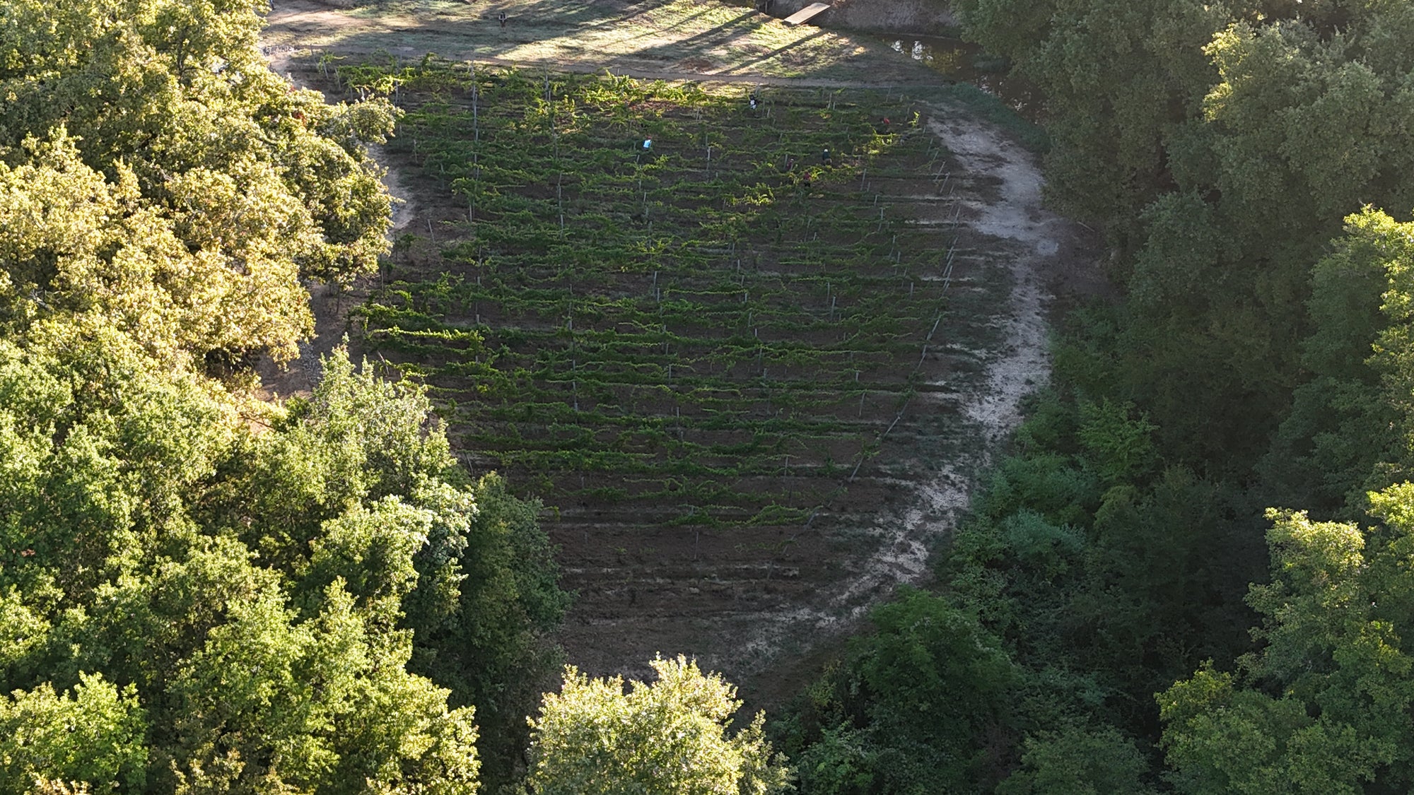 Das Terroir und der Wein daraus
