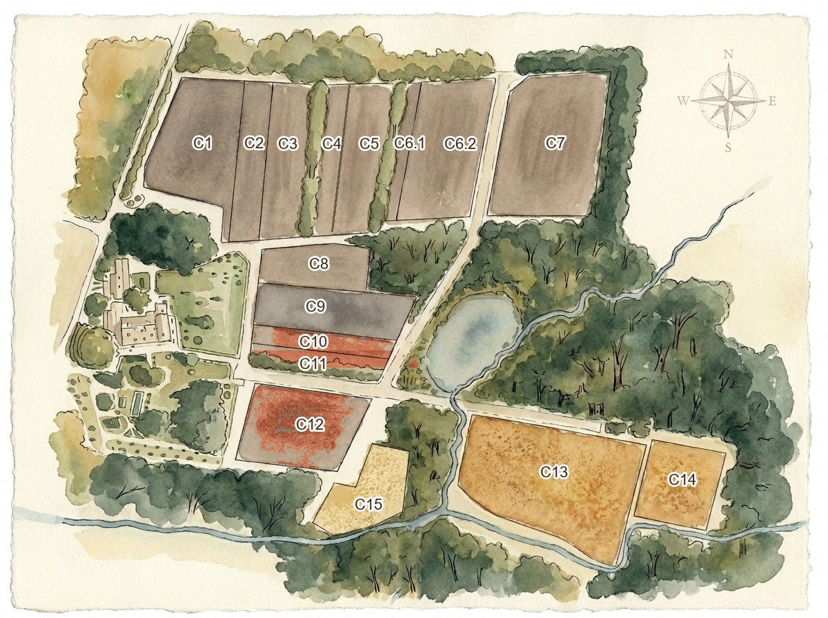 Watercolour map of LaSuite aux Conseillans with the 16 numbered parcels, coloured by the four terroirs: clay, clay-gravel, gravel and sand