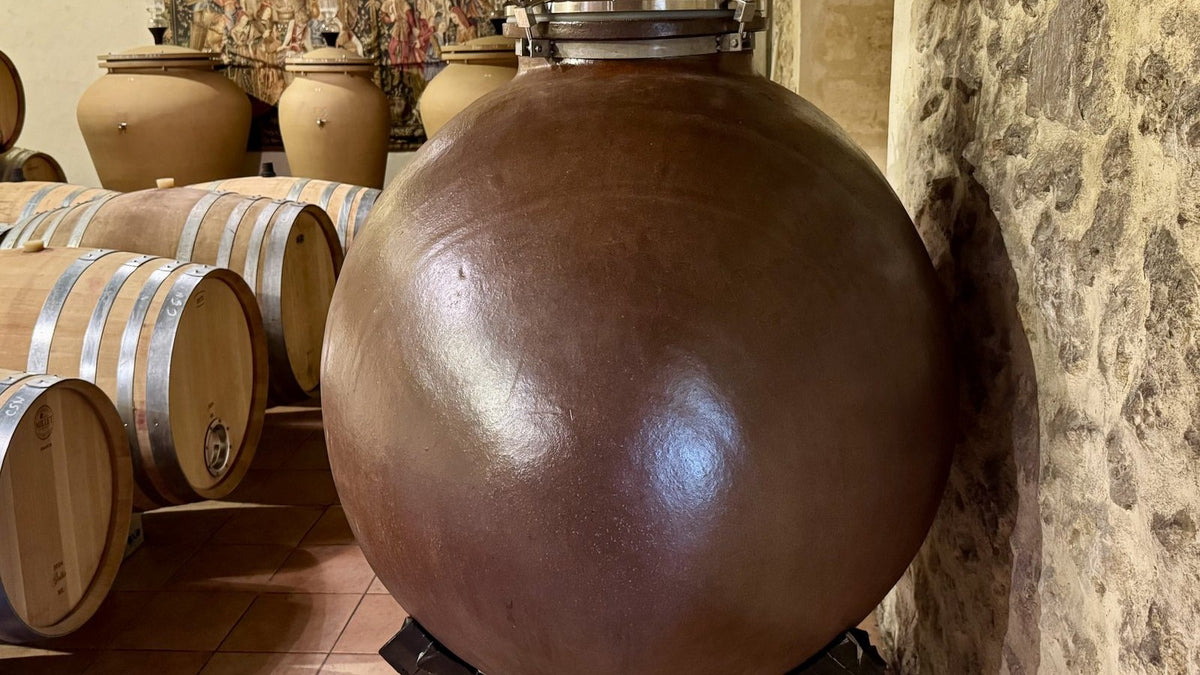 Keramikamphore neben Barriques im Keller der Domaine