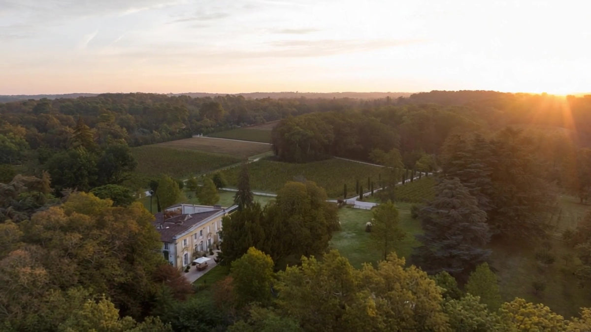 Das Weingut LaSuite aux Conseillans bei Bordeaux im Abendlicht – Château, Reben und Wald.